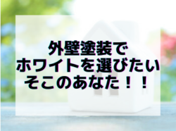 【和歌山市】外壁塗装でホワイトを選びたいそこのあなた！！｜和歌山市リフォームと屋根外壁塗装専門店
