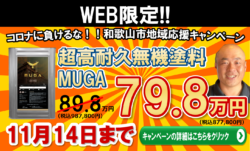 【和歌山市】WEB限定キャンペーンのお知らせ！！